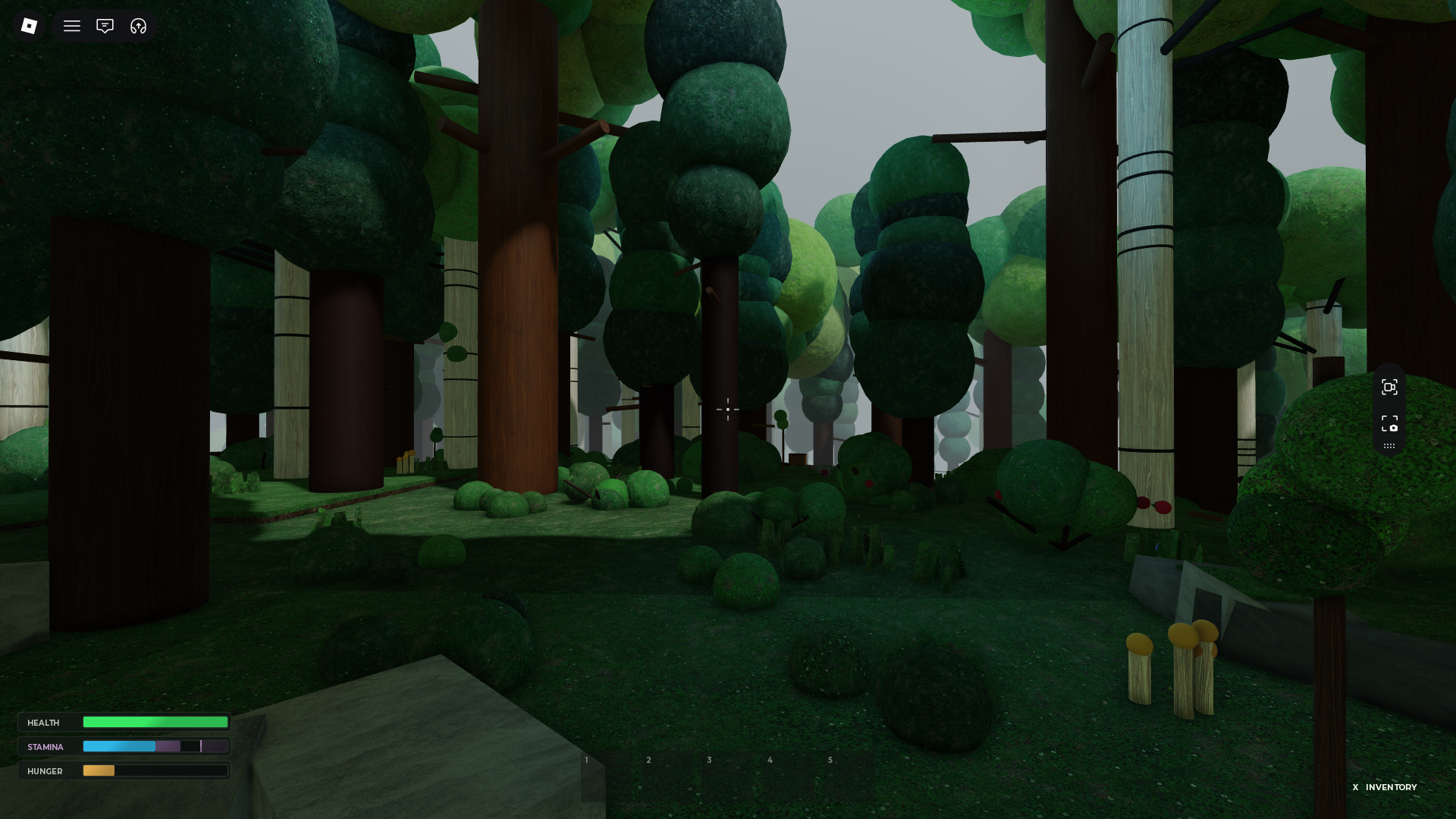 Forestale Co-op Survival Woods